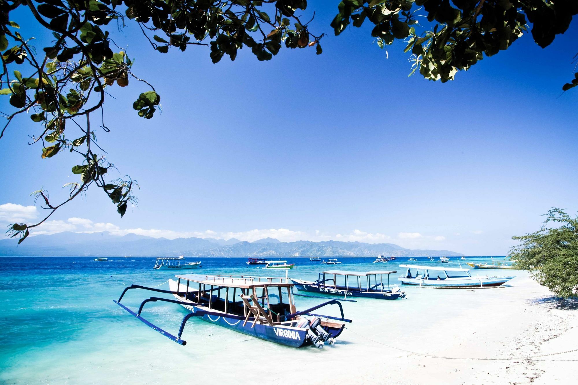 Blue Marlin Dive Trawangan Gili Trawangan