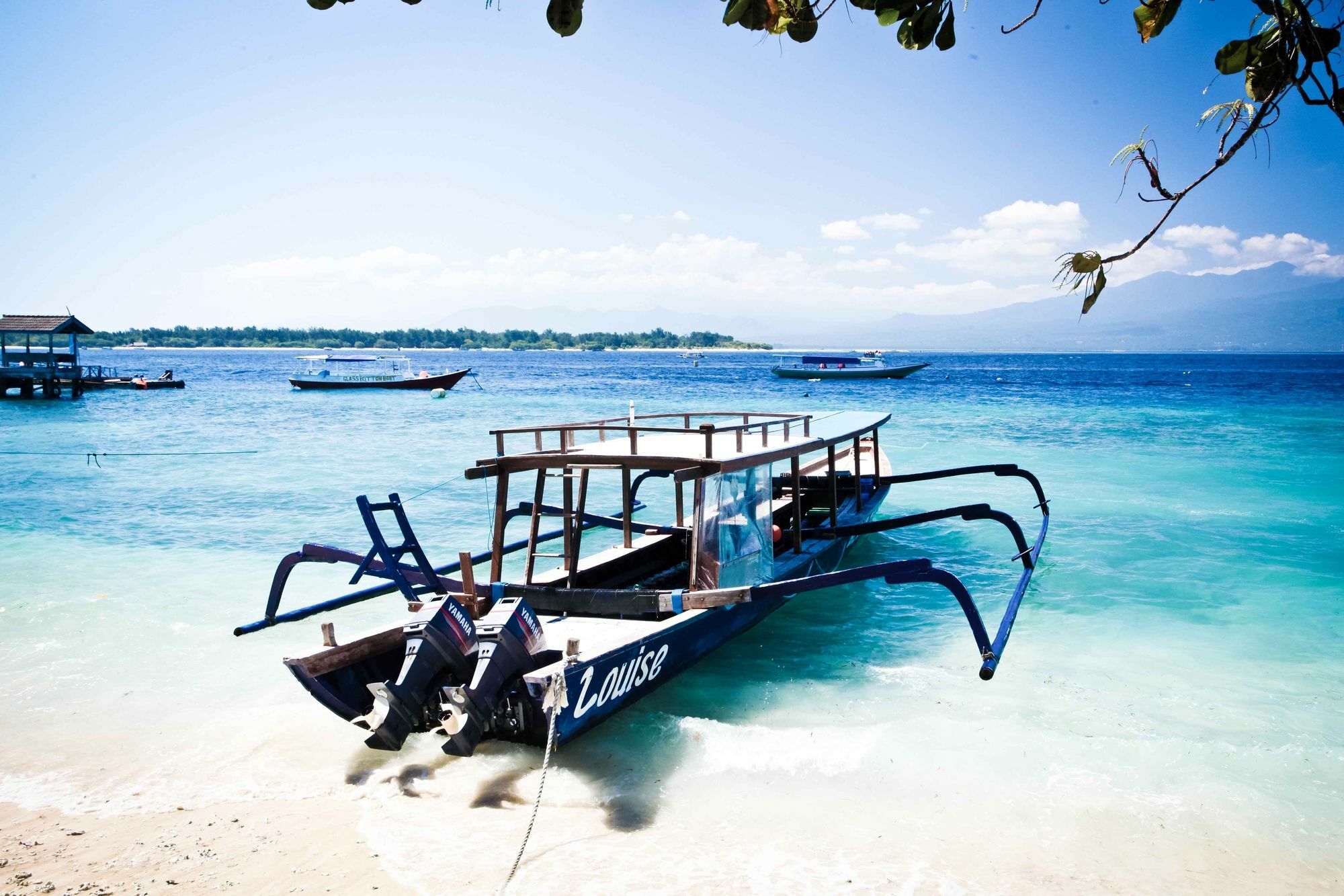 Blue Marlin Dive Trawangan 3*